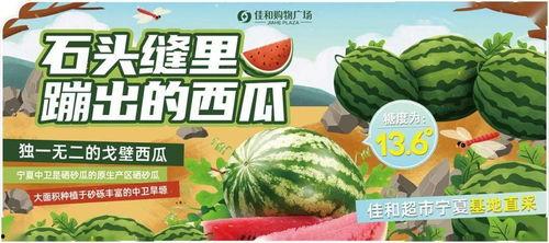 吃瓜视频每日大赛 热门大瓜往期内容,回顾往期热门大瓜，揭秘娱乐圈幕后风云